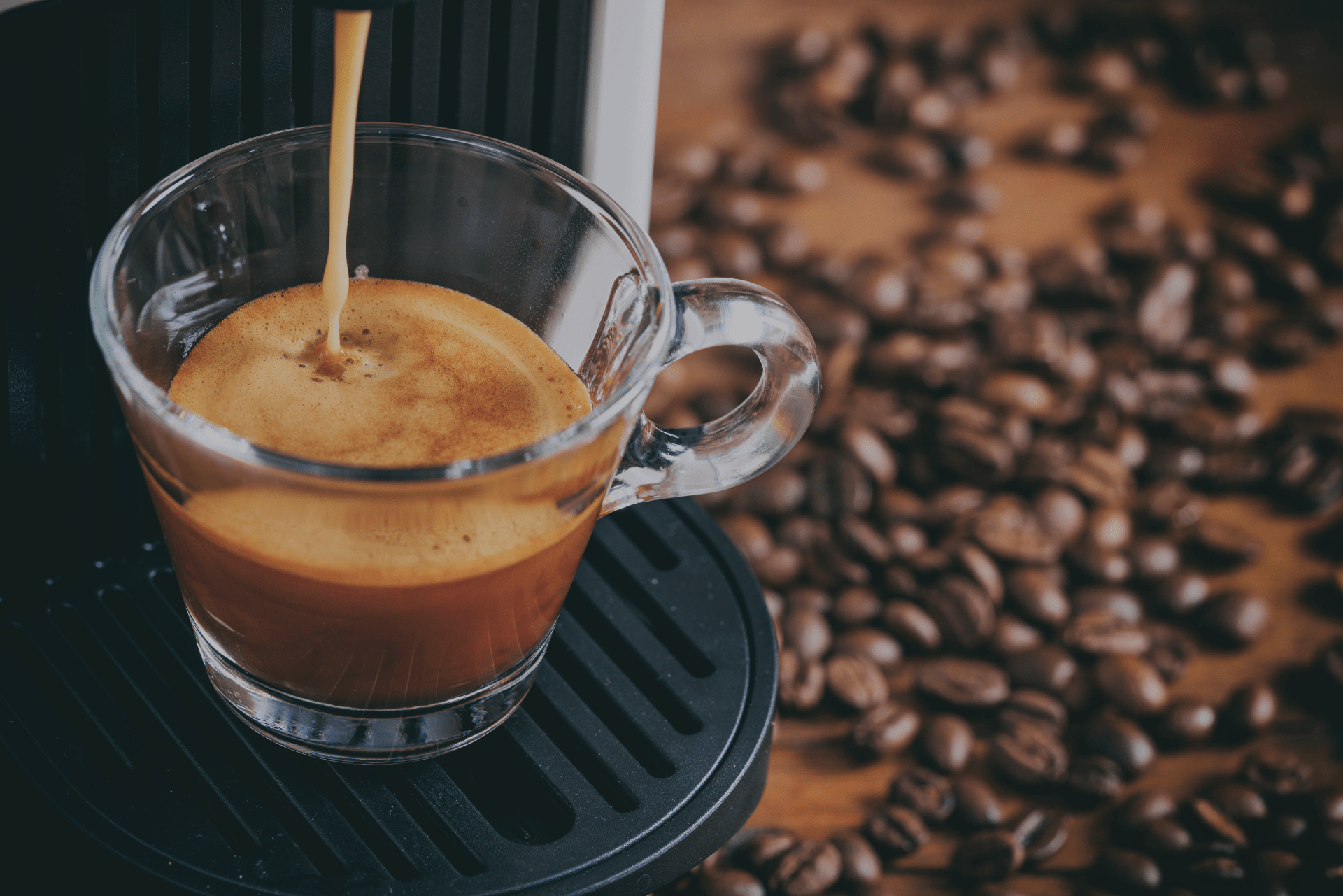 לורנצו קפה | אודות החברה | LORENZO CAFE